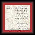 Arfan Murtaza Trdeed Galib 01 * 22.03.2008 * 545 x 812 * (92KB)